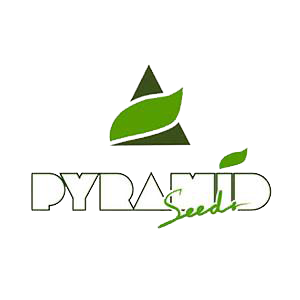 Pyramid seeds