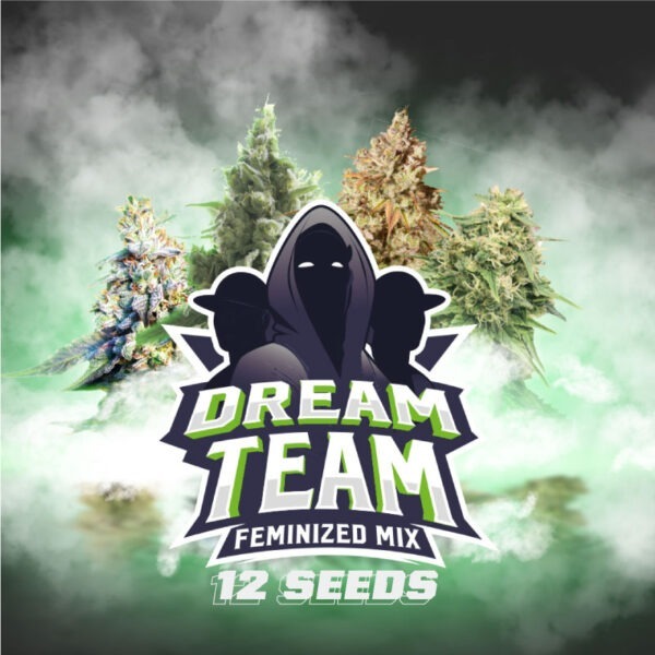Dream Team Feminized Mix _x 12