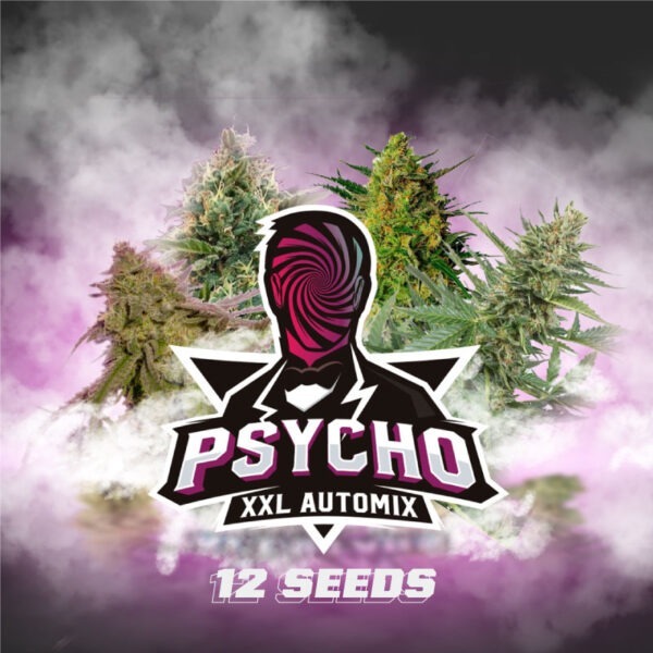 Psycho XXL Automix x 12