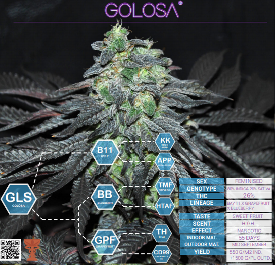 Golosa Delicious Seeds (PACK X 3)