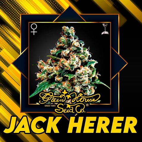 Jack Herer Green House Seeds Co.