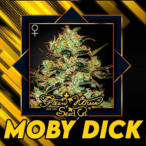Moby Dick Green House Seeds Co.