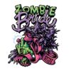 ZOMBIE BRIDE SEMILLAS FEMINIZADAS DE MARIHUANA X3 - Imagen 3