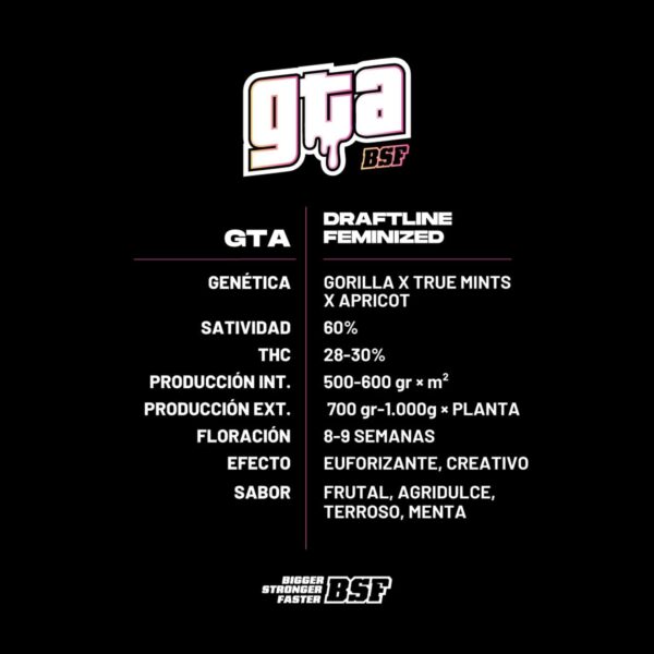 GTA pack x 12