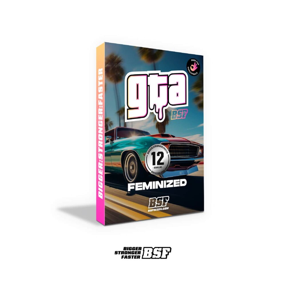 GTA pack x 12 - Imagen 4