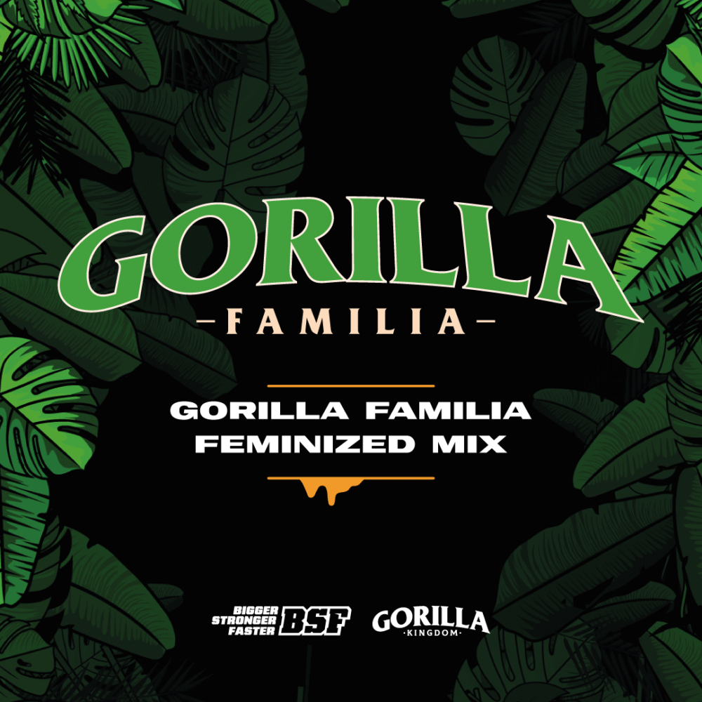 Gorilla Familia Mix Feminized x 12
