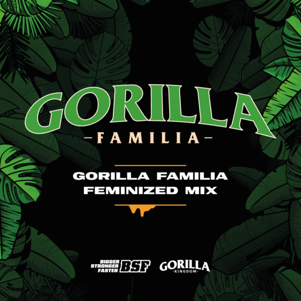 Gorilla Familia Mix Feminized x 12