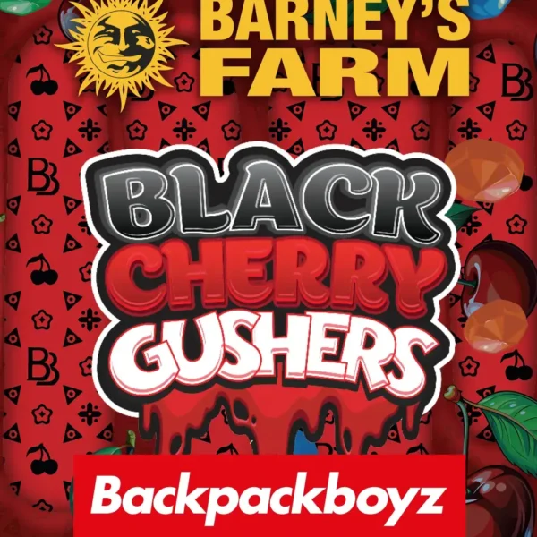 Black Cherry Gushers pack x 3