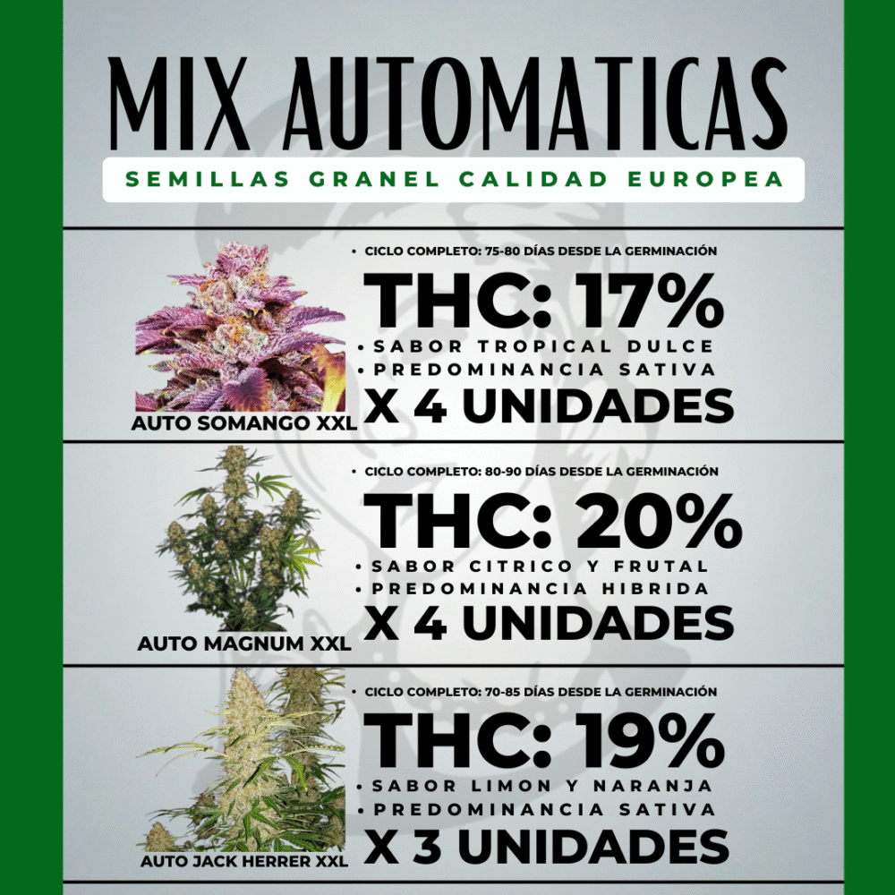 Mix Automaticas XXL 10+1 de Regalo