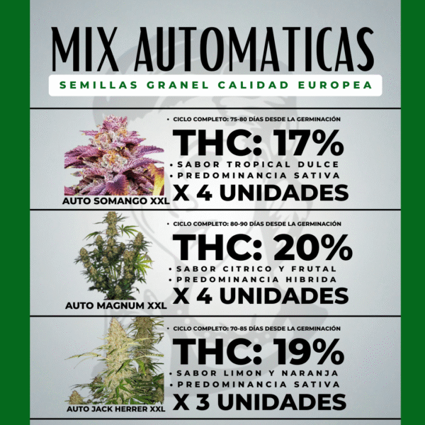 Mix Automaticas XXL 10+1 de Regalo